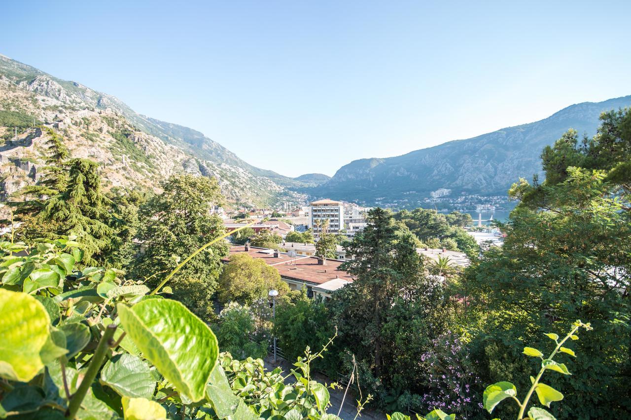 Apartment Kiwi Kotor Buitenkant foto